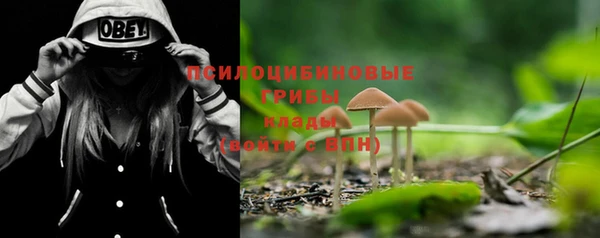 меф Горнозаводск