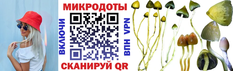 хочу   Нытва  Галлюциногенные грибы GOLDEN TEACHER 